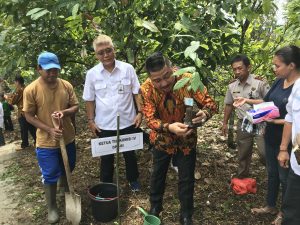Kejayaan Rempah-Rempah di Maluku Harus Dikembalikan