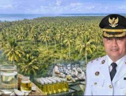 Tanam 10 Juta Pohon Kelapa, Pemkab Aru Bangun Fondasi Ekonomi Jangka Panjang