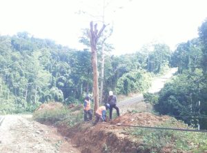 PLN Respons Cepat Gangguan Jaringan di Halmahera Selatan dan Pastikan Transparansi Layanan Tambah Daya melalui PLN Mobile